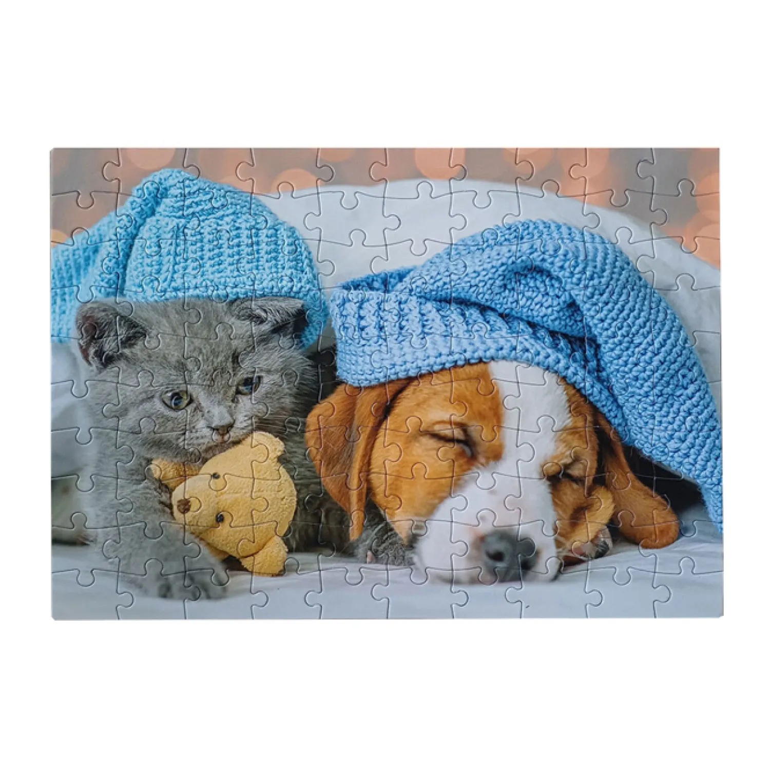 Legpuzzel Cute Kitten and Sleepy Dog, 100st.>Tactic Hot