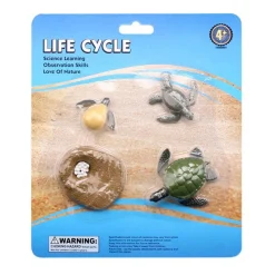Levenscyclus Schildpad Speelfiguren Set> Best