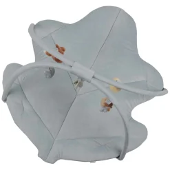 Activiteiten Speelkleed Forest Friends-Little Dutch Best