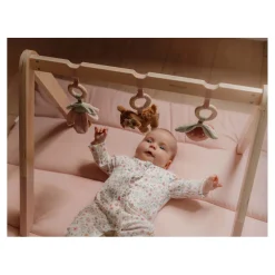 Houten Babygym Fairy Garden><noscript><img width=