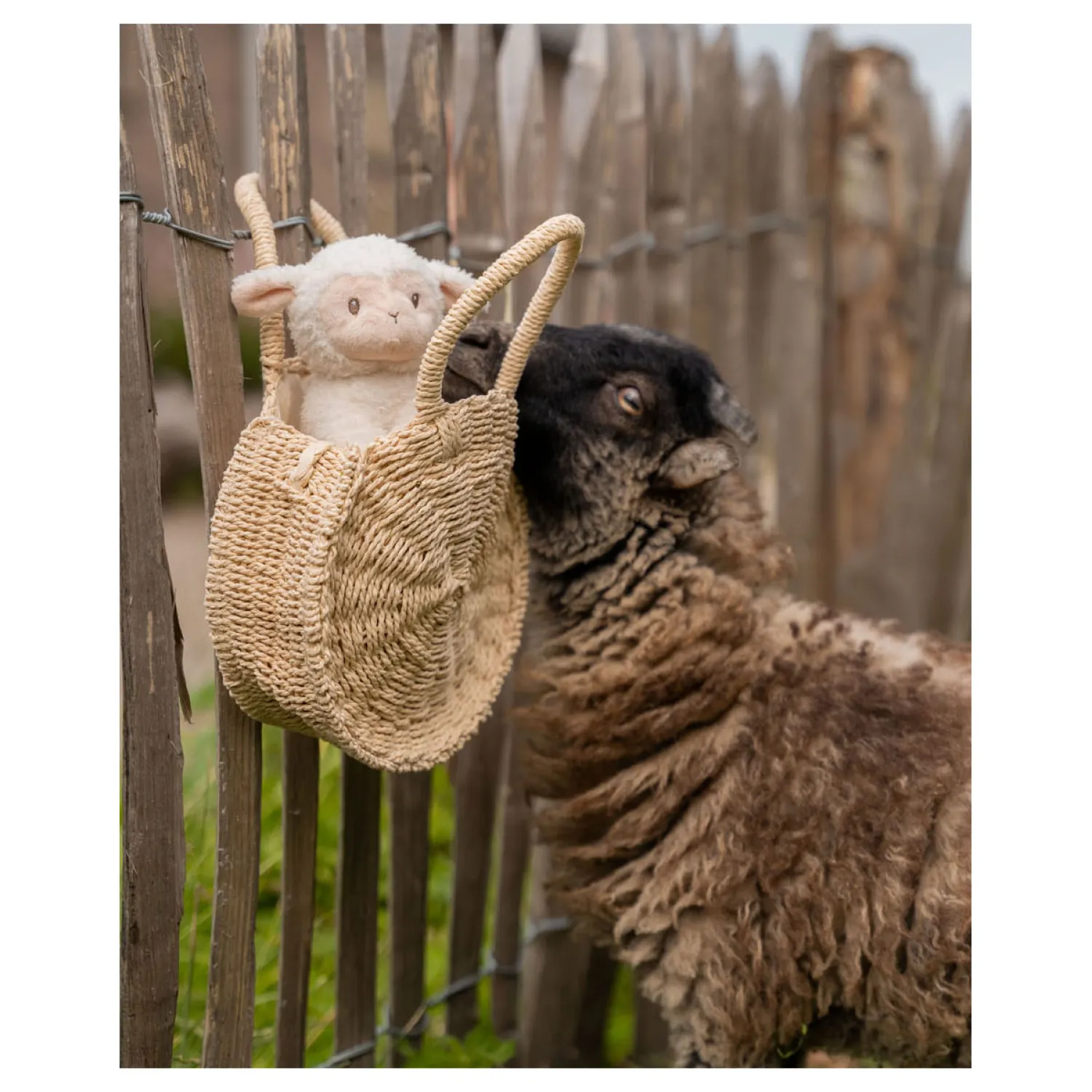 Little Dutch Knuffel Schaap Little Farm, 17cm Best