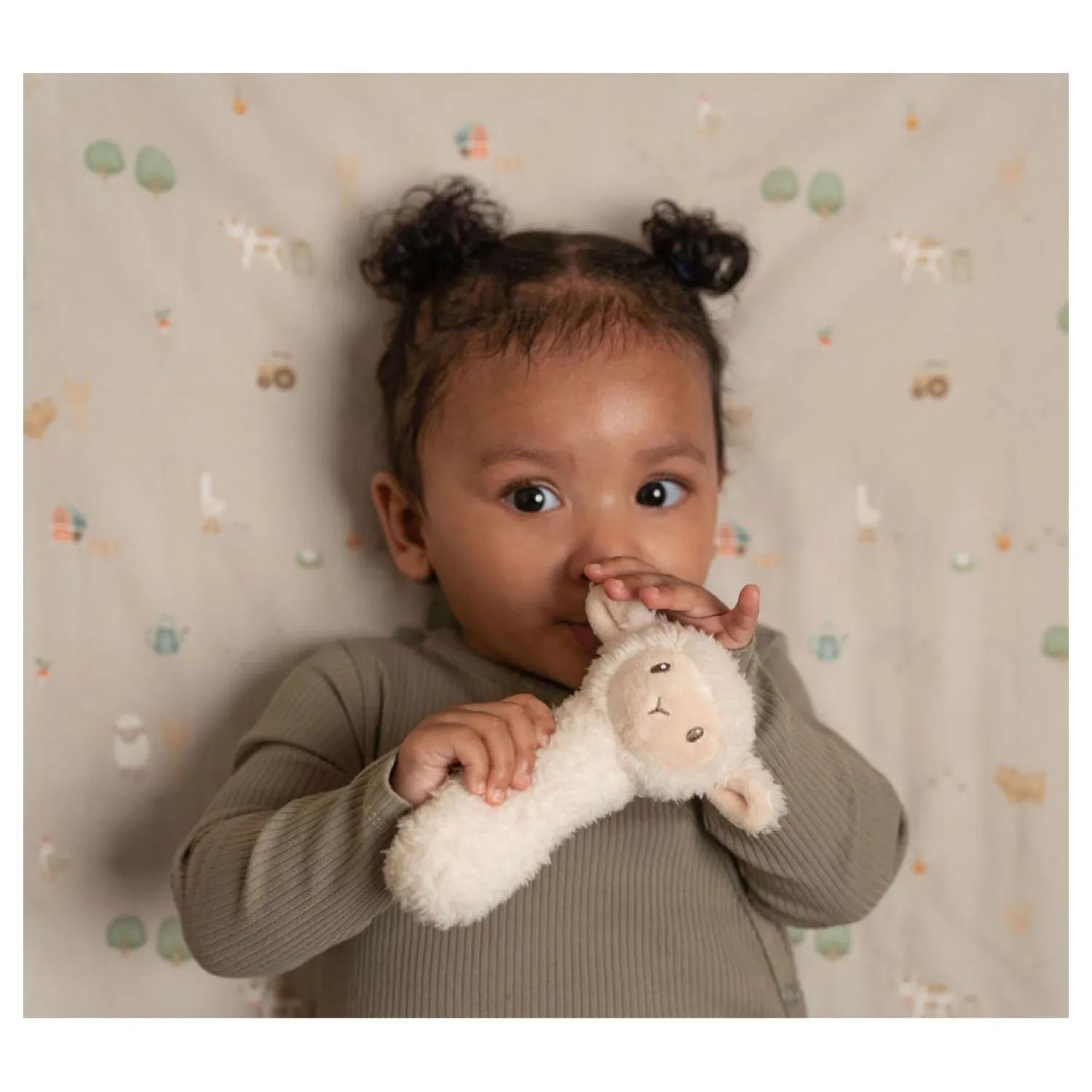 Rammelaar Schaap Little Farm-Little Dutch Sale