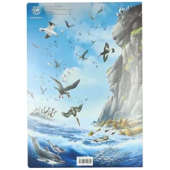 Mega Kinderatlas van de Dieren-Mondikaarten New