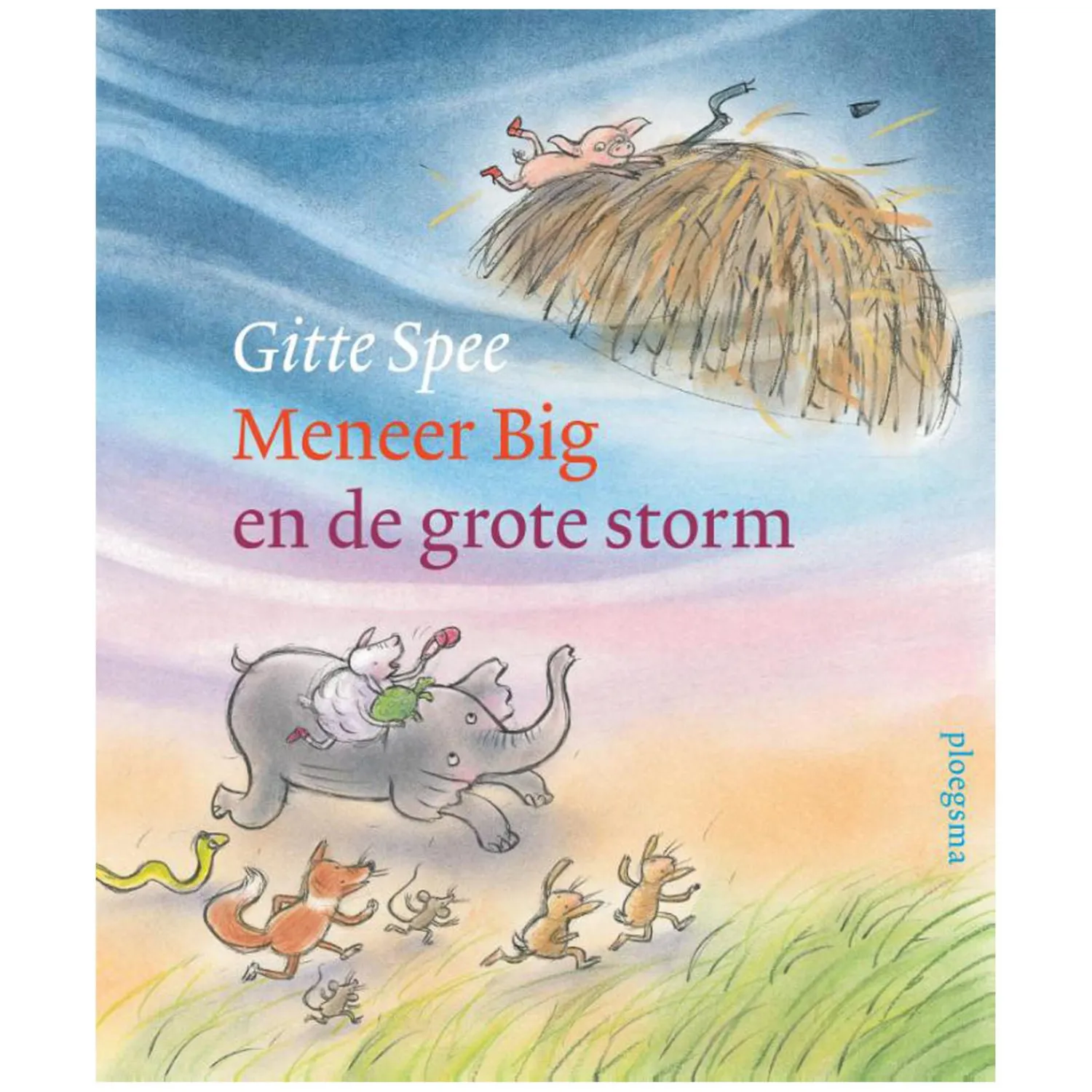 Meneer Big en de grote storm>WPG uitgevers Outlet