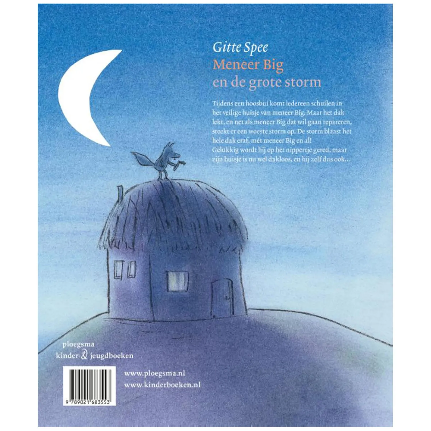 Meneer Big en de grote storm>WPG uitgevers Outlet