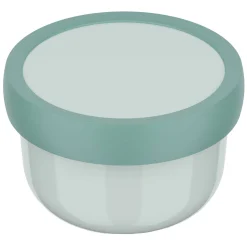 Fruitbox Campus 300 ml - Cool Mint>Mepal