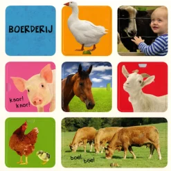 Mijn eerste flapjesboek 100 dieren- Online