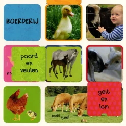 Mijn eerste flapjesboek 100 dieren- Online