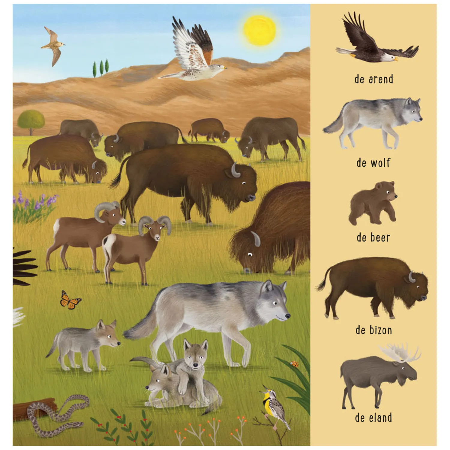 Mijn Eerste Zoekboek - Dieren Uit De Hele Wereld-Deltas Best