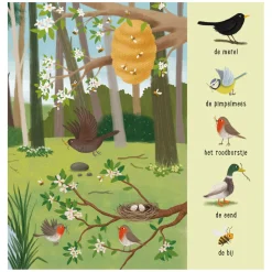 Mijn Eerste Zoekboek - Dieren In het Bos-Deltas Outlet