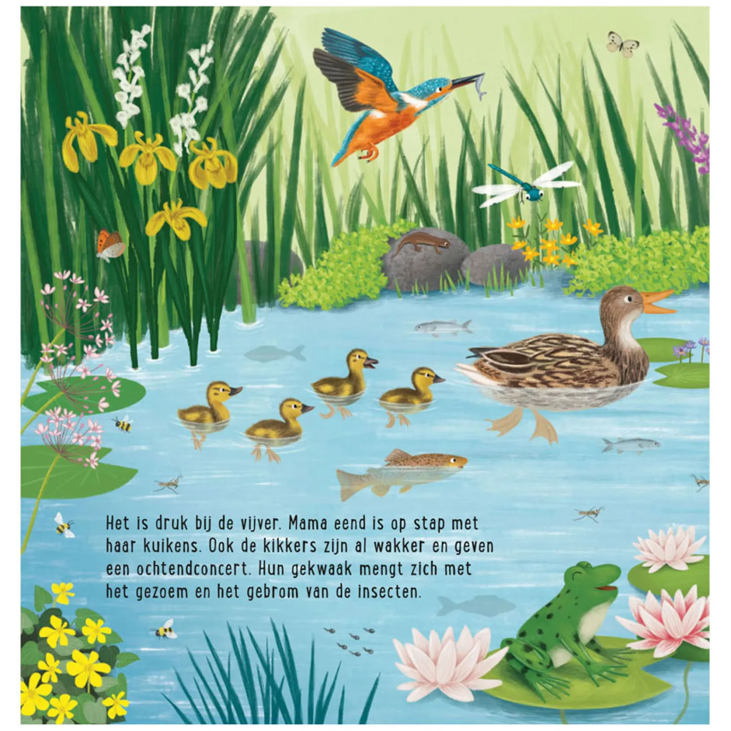 Deltas Mijn Eerste Zoekboek - Dieren Bij het Water Clearance