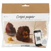 Creativ Company Mini Hobbyset Crepepapier Klaprozen Hot