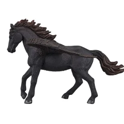 Fantasy Zwarte Pegasus - 387255-Mojo Online