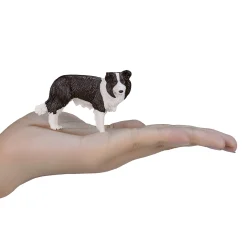 Farmland Border Collie - 387203><noscript><img width=