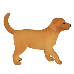 Mojo Farmland Golden Retriever Puppy - 387205 Sale