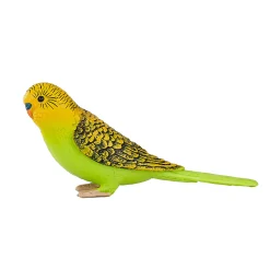 Farmland Grasparkiet Groen - 387262>Mojo Sale