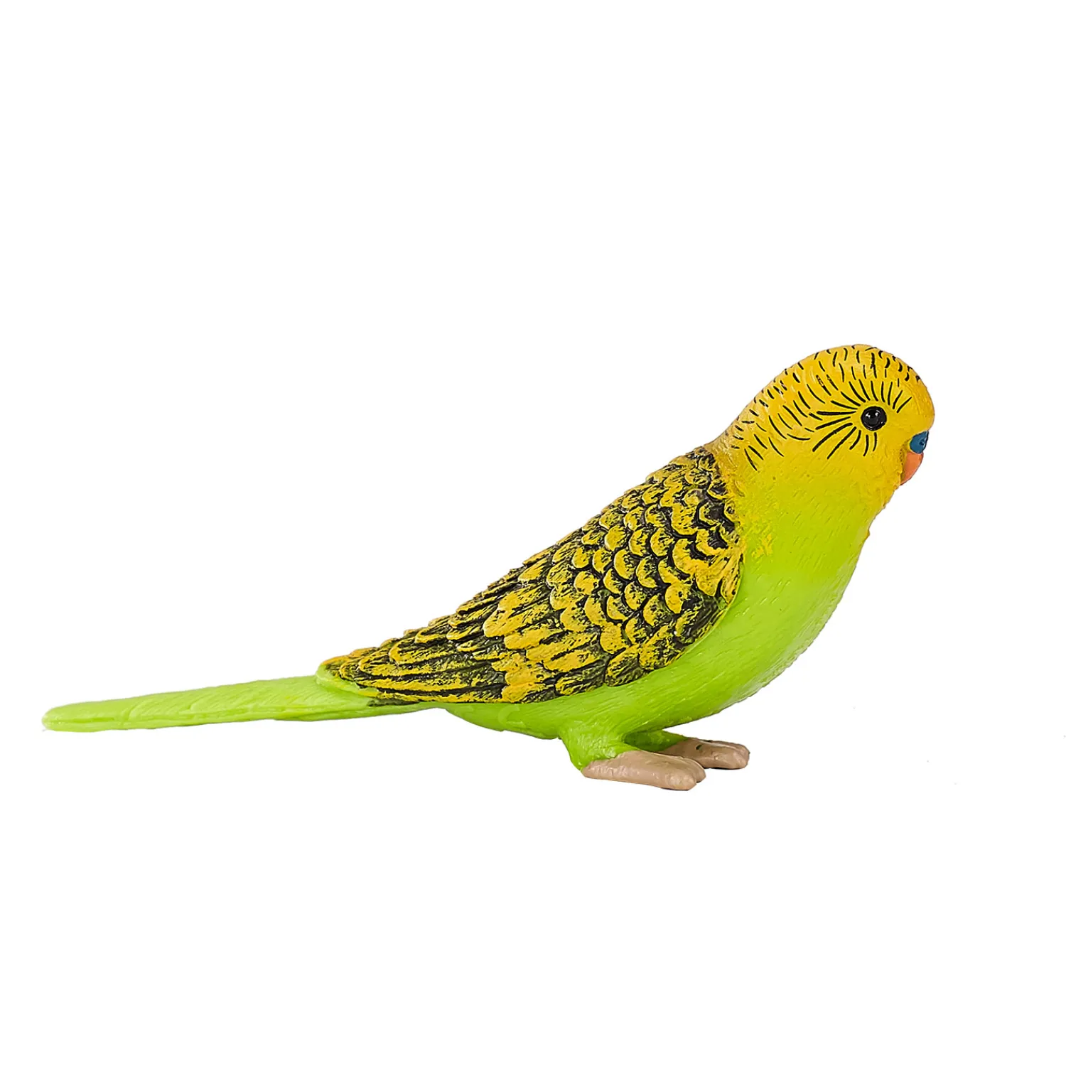 Farmland Grasparkiet Groen - 387262>Mojo Sale