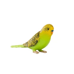 Farmland Grasparkiet Groen - 387262><noscript><img width=