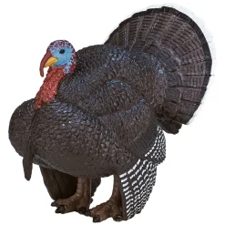 Farmland Mannelijke Kalkoen - 387285-Mojo Sale