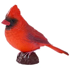 Mojo Farmland Rode Kardinaal - 381117 Online