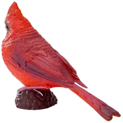 Mojo Farmland Rode Kardinaal - 381117 Online