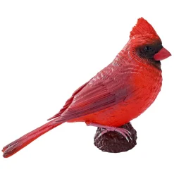 Mojo Farmland Rode Kardinaal - 381117 Online