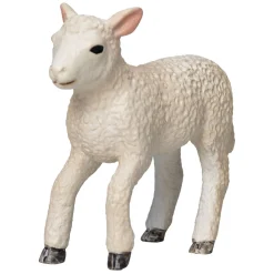 Farmland Romney Lam Rennend  - 381066>Mojo Clearance