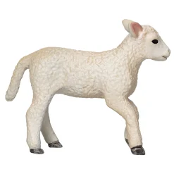 Farmland Romney Lam Rennend - 381066><noscript><img width=