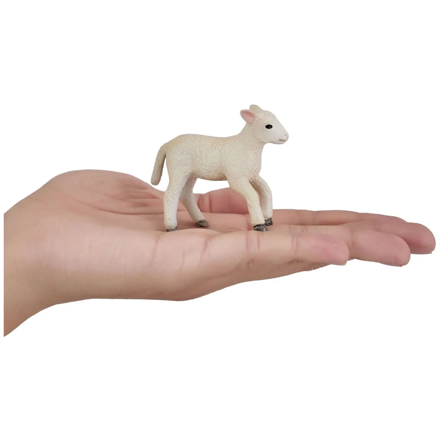 Farmland Romney Lam Rennend - 381066>Mojo Clearance