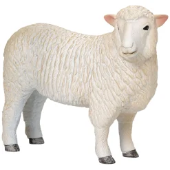 Farmland Romney Schaap Ooi - 381064-Mojo Hot