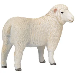 Farmland Romney Schaap Ooi - 381064-Mojo Hot