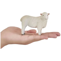 Farmland Romney Schaap Ooi - 381064-Mojo Hot