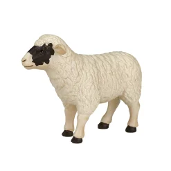 Farmland Zwartkopschaap Ooi - 387058><noscript><img width=