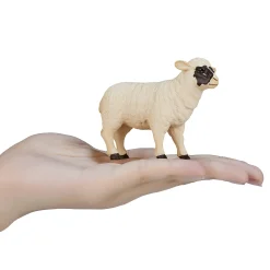 Farmland Zwartkopschaap Ooi - 387058><noscript><img width=