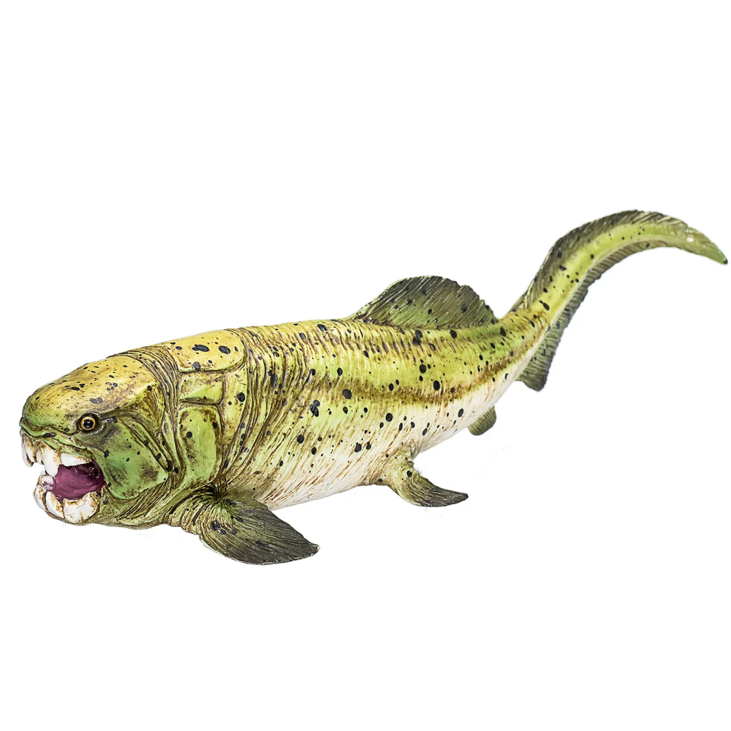 Prehistorie Dunkleosteus - 387374>Mojo Online