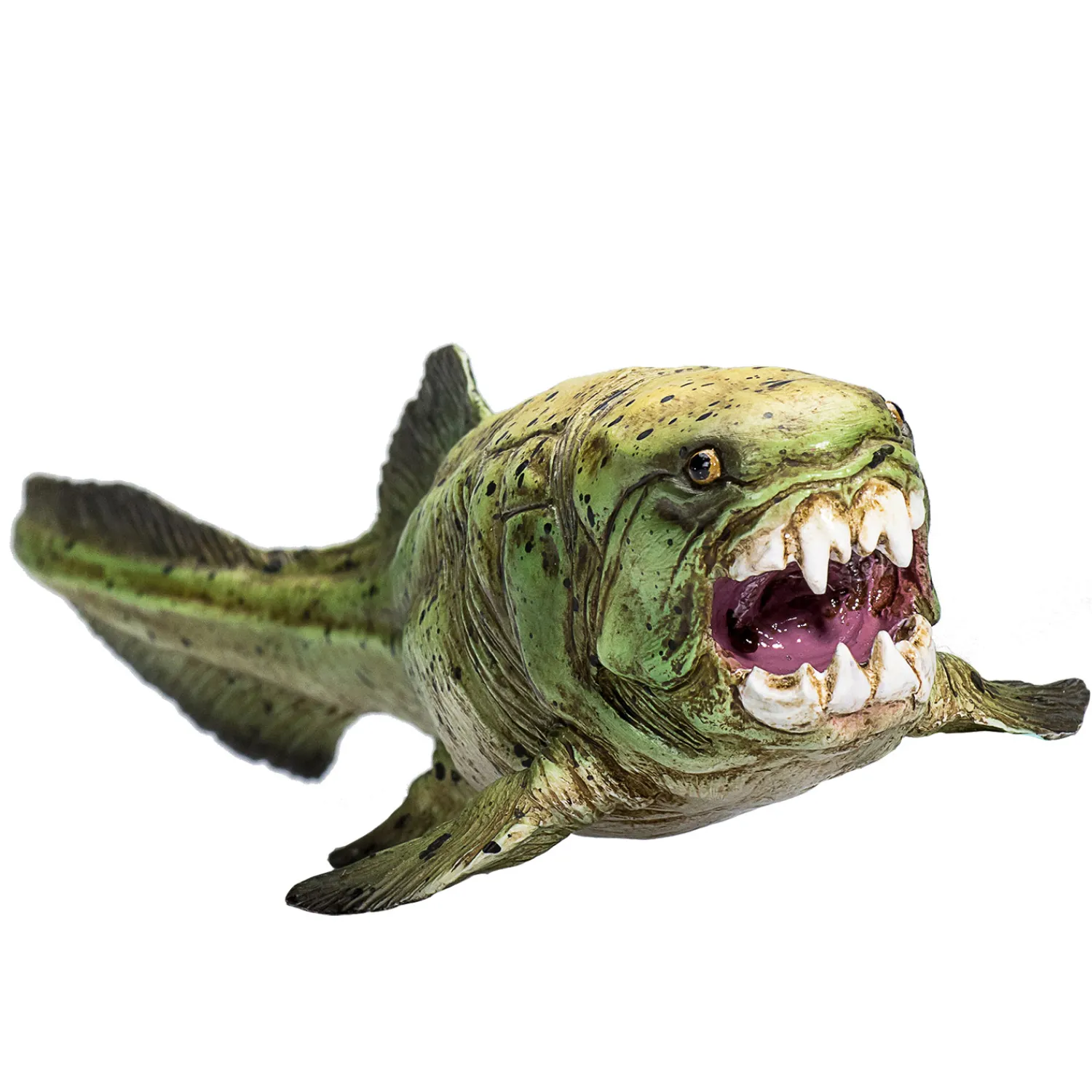 Prehistorie Dunkleosteus - 387374>Mojo Online