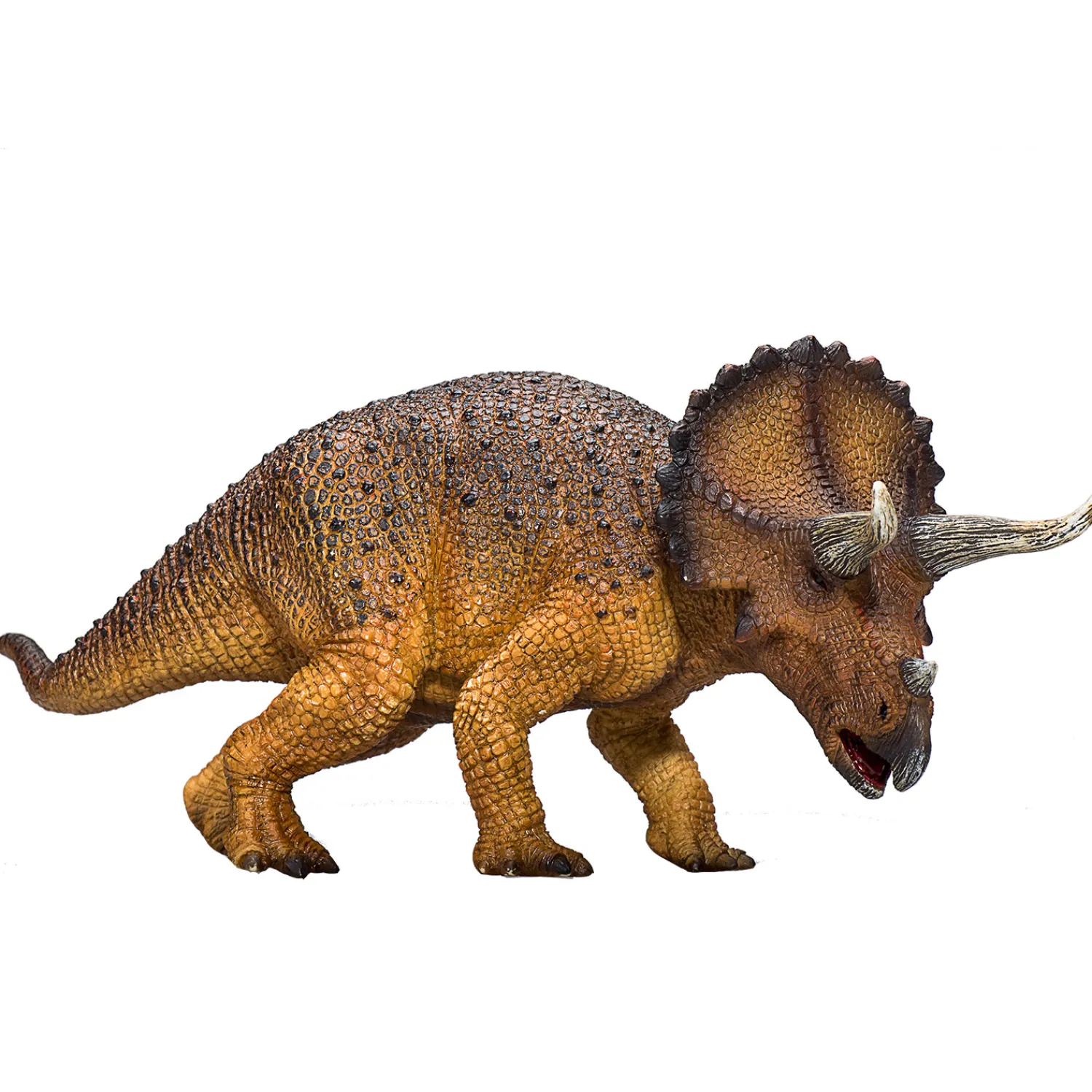 Prehistorie Triceratops - 387364>Mojo Online