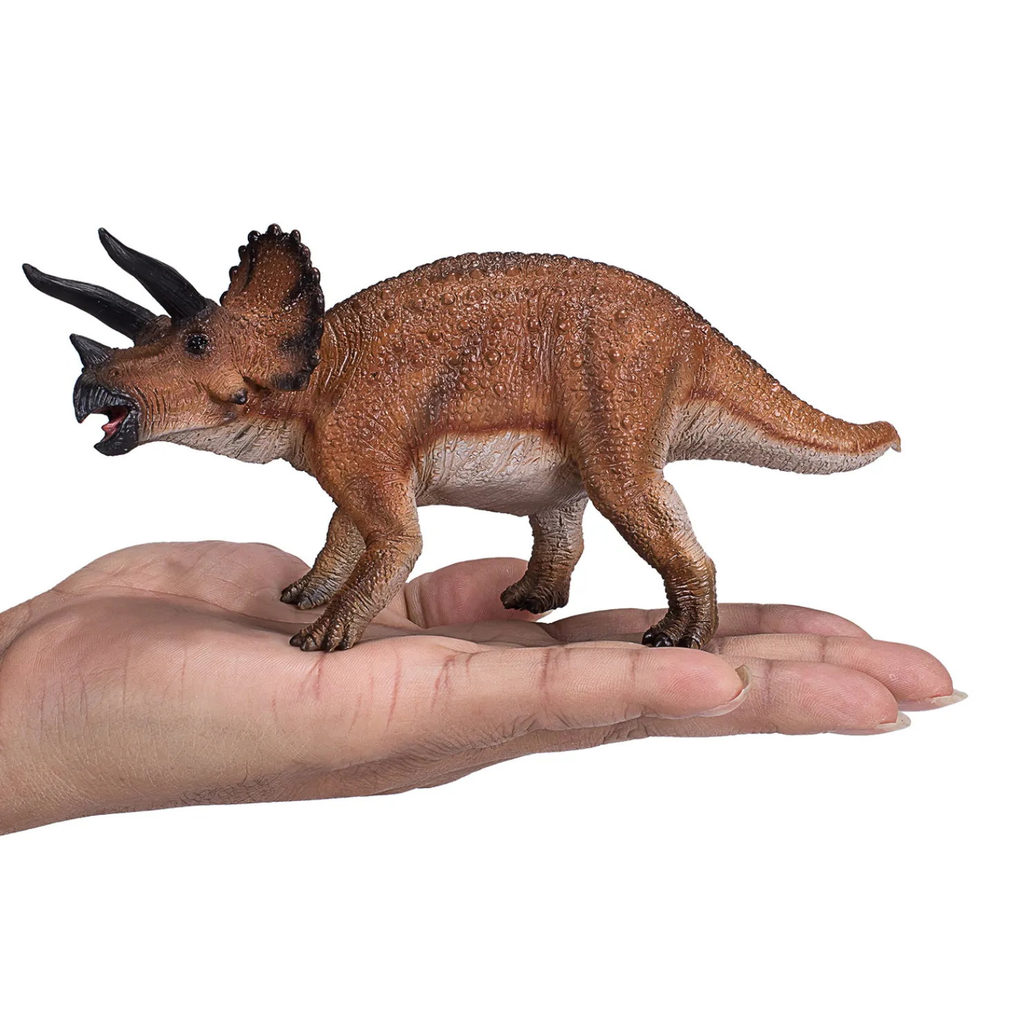 Prehistorie Triceratops - 381017>Mojo Sale