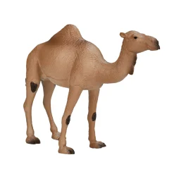 Wildlife Arabische Kameel - 387113-Mojo Online