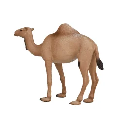 Wildlife Arabische Kameel - 387113-Mojo Online