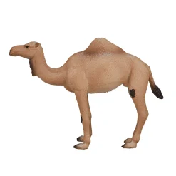 Wildlife Arabische Kameel - 387113-Mojo Online