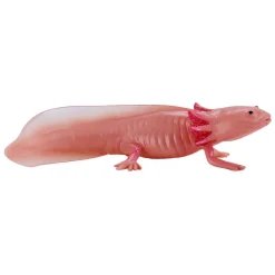 Wildlife Axolotl 381108><noscript><img width=