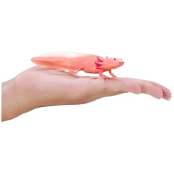 Wildlife Axolotl 381108><noscript><img width=