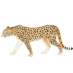 Wildlife Cheetah Man - 387197><noscript><img width=