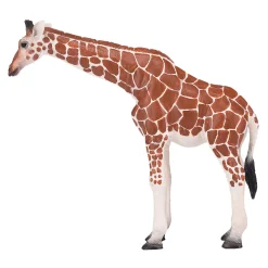 Wildlife Giraf Vrouwtje - 381033-Mojo Online