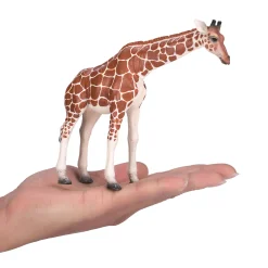 Wildlife Giraf Vrouwtje - 381033-Mojo Online