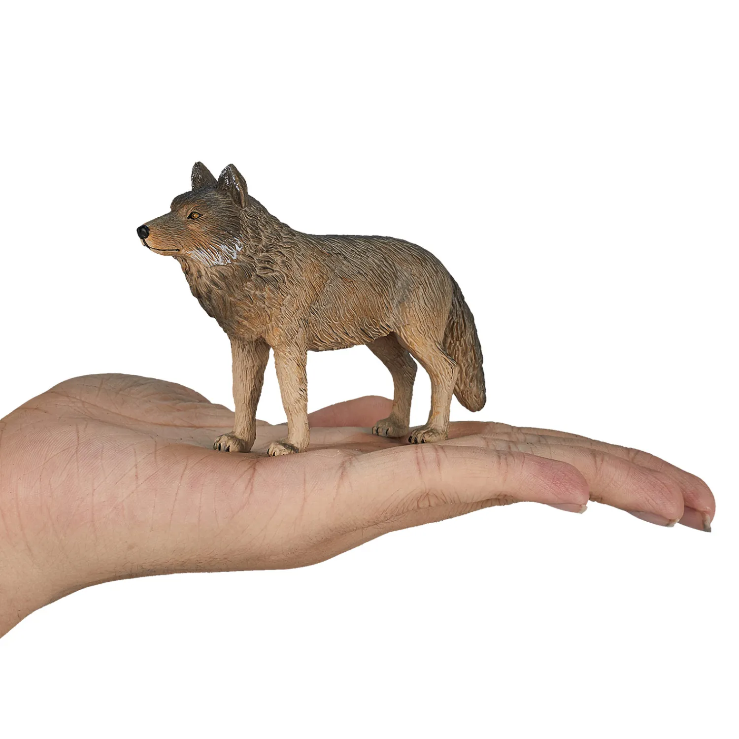 Wildlife Houtwolf Staand - 387025>Mojo Hot