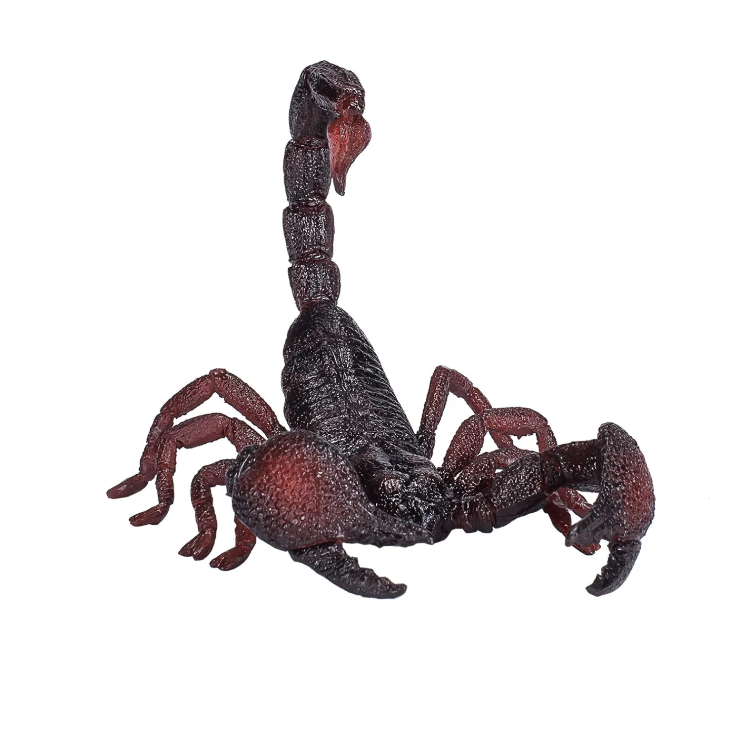 Wildlife Keizer Schorpioen - 387133-Mojo