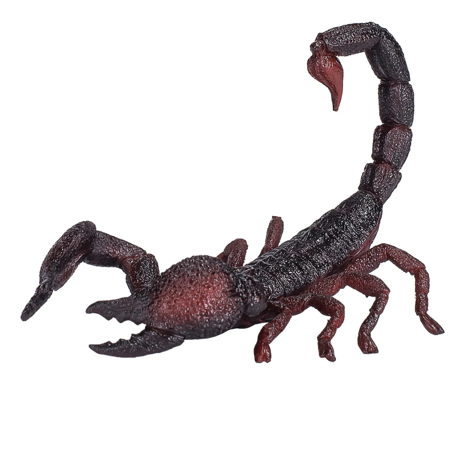 Wildlife Keizer Schorpioen - 387133-Mojo