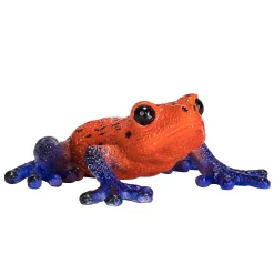 Wildlife Pijlgifboomkikker - 381016>Mojo Sale